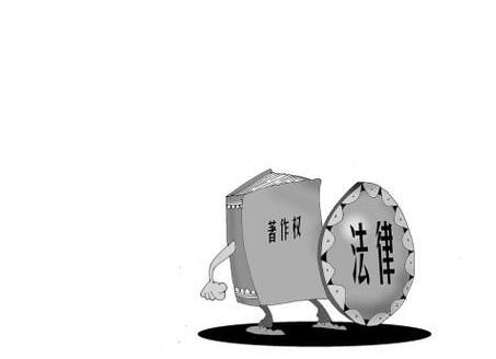 Ȩ¹涨