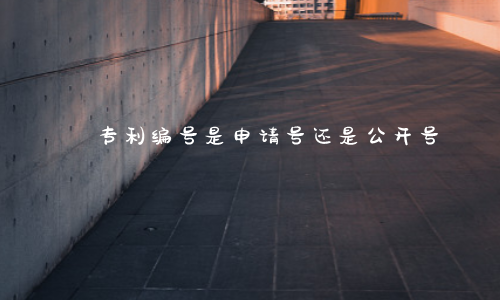 专利编号