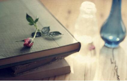 实用新型专利,第一发明人