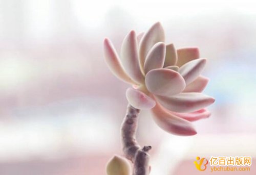 滮̲ĹЩô