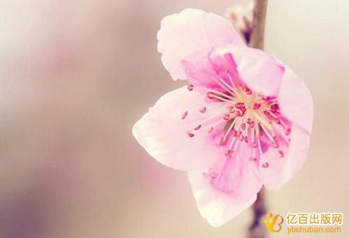 教师评教授职称的学术专著转让