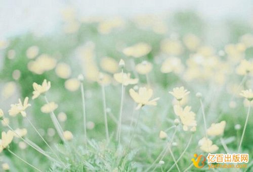 һ20ֵԴҪǮ