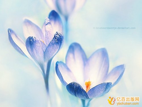 һһҪǮ