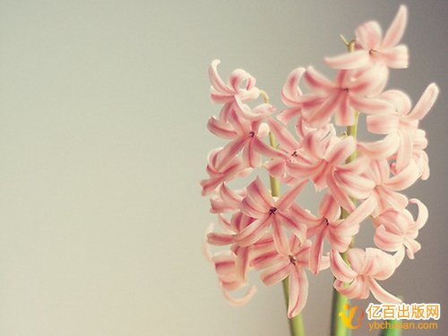 ְƽ̲ĶҪ