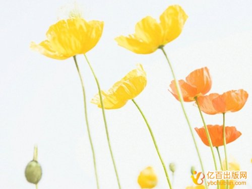 出书一号多书与一书多号区别是什么