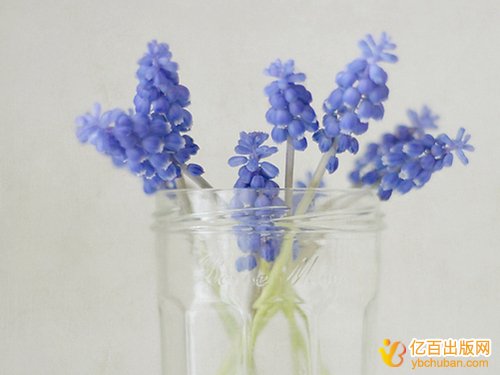 Զ滮̲γ