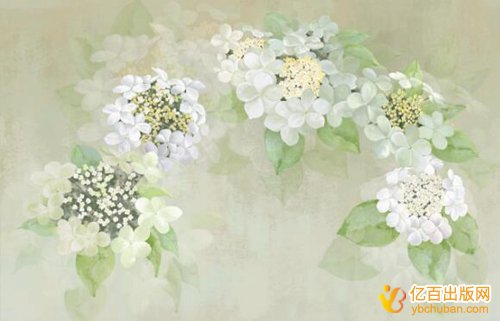 ̲ĳ淶Щ