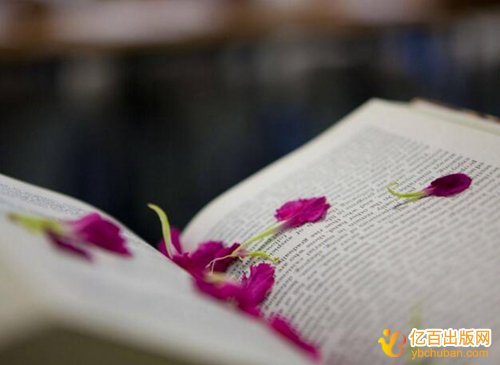 教材主编与副主编字数怎么确定