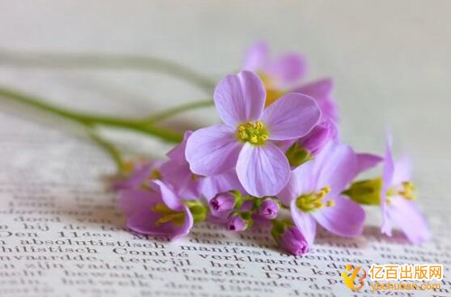 ר̼