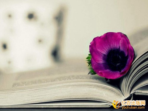 ְƼӼ