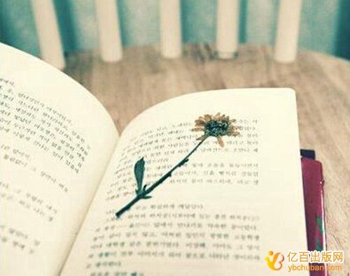 什么教材会是十三五规划教材