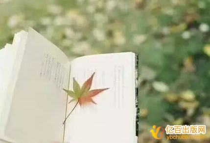 软著申请可以有几个作者