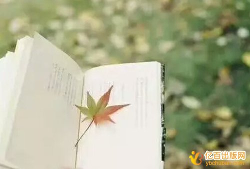 专利申请进度如何查询