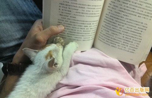 有书稿三审三较不通过无法出版的吗